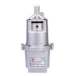 BOMBA-RAYMA-750-FIRE-220V