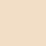 TINTA-DURAPLAST-ACR-18-LT-PALHA-FC-2